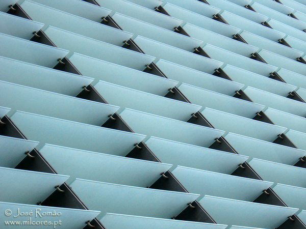 5581v01A01_600x450_JoseRomao_www.milcores.pt