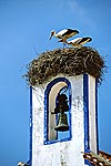 casal cegonhas-brancas ninho torre sino azul Comporta
