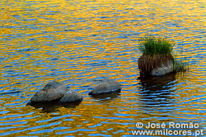 Reflexo dourado e rochas emersas na Ribeira de Múrtega -  Parque de Natureza de Noudar